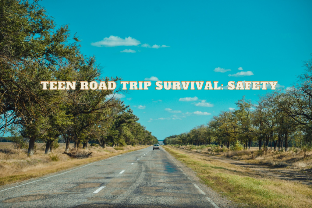 Teen Road Trip Survival: Safety - Minneapolis Parking